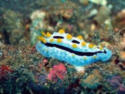 Taken at Bali, Indonesia by Dennis Siau 